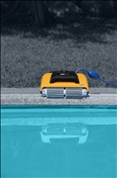 Dolphin W20 mit PVC-B&amp;#252;rsten